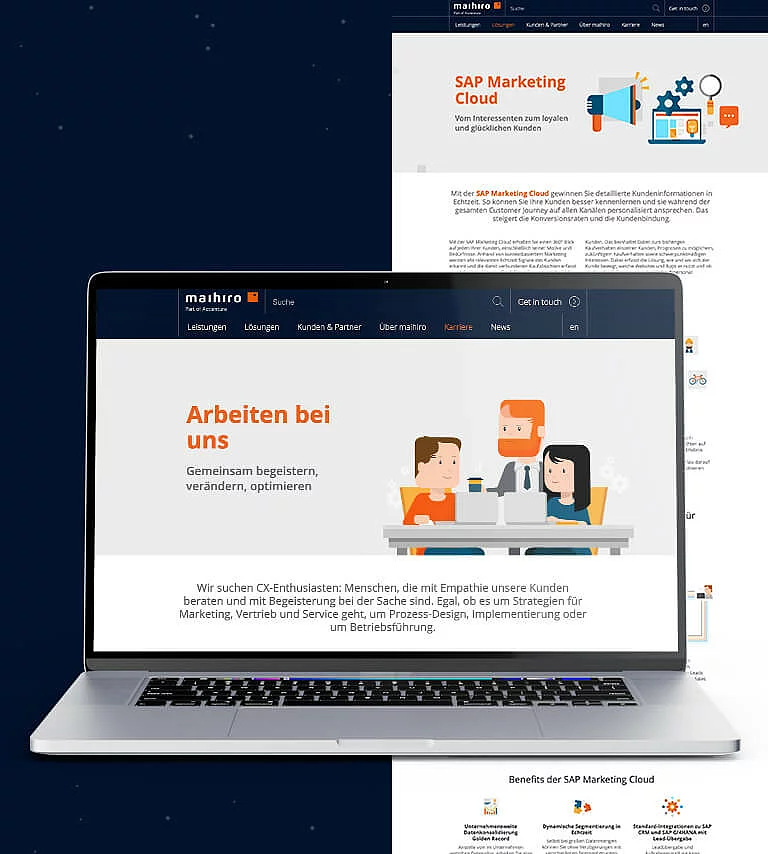 Website assets Website assets in maihiro corporate identity