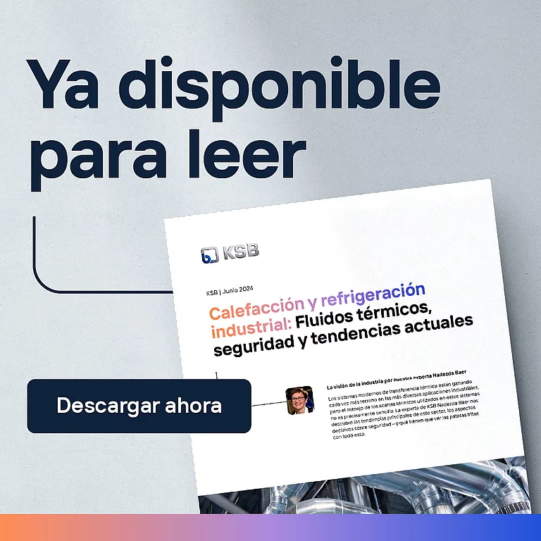 Whitepapers B2B Marketing-Asset über ein Whitepaper auf Spanisch